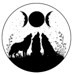 SkyWolfSpirit's Avatar