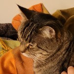 TeaGoblin's Avatar