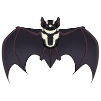 Thumbnail for ANI-081: Pied Butterfly Bat (M)