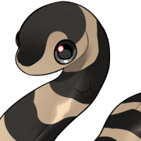 ANI-098: Stephan's Banded Snake (M)