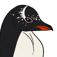 ANI-113: Gentoo Penguin (F)