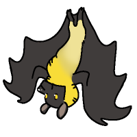 ANI-128: Straw-colored Fruit Bat (M)