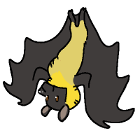 ANI-129: Straw-colored Fruit Bat (F)