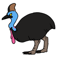 Thumbnail for ANI-131: Southern Cassowary (M)