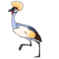 Thumbnail for ANI-132: Grey Crowned Crane (M)