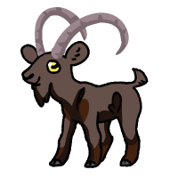 Thumbnail for ANI-138: Pyrenean Ibex (M)