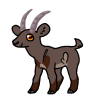 Thumbnail for ANI-139: Pyrenean Ibex (F)