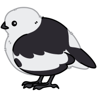 Thumbnail for ANI-145: Snow Bunting (M)