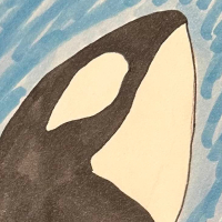 Thumbnail for ANI-150: Killer Whale (F)