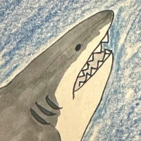 Thumbnail for ANI-151: Great White Shark (F)