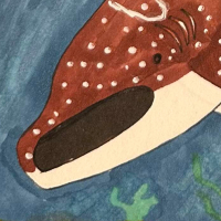 Thumbnail for ANI-152: Whale Shark (M)