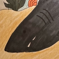 Thumbnail for ANI-163: Great White Shark (F)