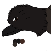 Thumbnail image for ANI-174: Ikaiki (Hawaiian Crow)