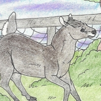 Thumbnail for ANI-189: Tufted Deer (F)