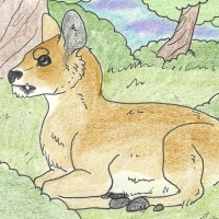 Thumbnail for ANI-190: Water Deer (F)