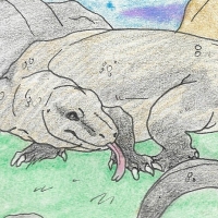 Thumbnail for ANI-194: Komodo Dragon (M)