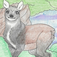 Thumbnail for ANI-197: Siberian Musk Deer (F)