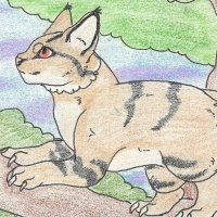 Thumbnail for ANI-198: Sand Cat (F)