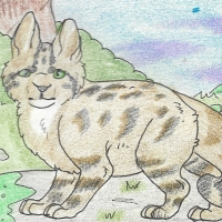 Thumbnail for ANI-202: European Wildcat (M)