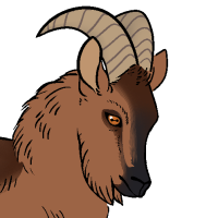 Thumbnail for ANI-229: Arabian Tahr (M)