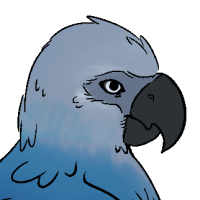 Thumbnail for ANI-230: Spix's Macaw (F)