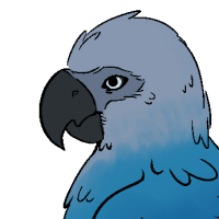 Thumbnail for ANI-231: Spix's Macaw (M)