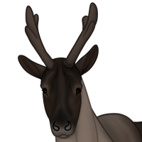 ANI-235: Caribou (F)