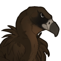 Thumbnail for ANI-247: Cinereous Vulture (M)