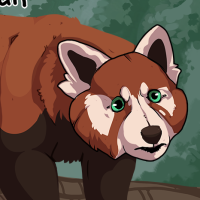 Thumbnail for ANI-248: Red Panda (M)