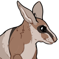 Thumbnail for ANI-254: Crescent Nail-tail Wallaby (F)