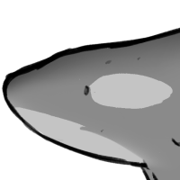 Thumbnail for ANI-1741: Species-Specific Killer Whale (M)