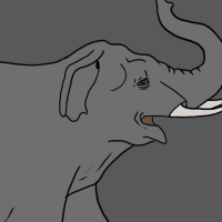 Thumbnail for ANI-1785: Asian Elephant (M)