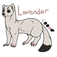 Thumbnail for ANI-1792: Lavender