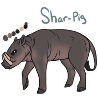 Thumbnail image for ANI-1793: Shar Pei (M)