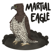 Thumbnail for ANI-1862: Morgana - Martial Eagle (F)