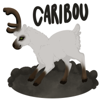 Thumbnail for ANI-1863: Marshmallow - Caribou (F)