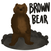 Thumbnail for ANI-1864: Go - Brown Bear (M)