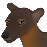 Thumbnail for ANI-1897: Fossa (M)