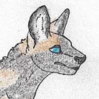 Thumbnail for ANI-1904: African Wild Dog (F)