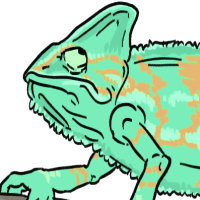 Thumbnail for ANI-1917: Species-Specific Veiled Chameleon (F)