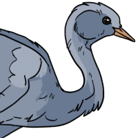 Thumbnail for ANI-1919: Blue Crane (M)