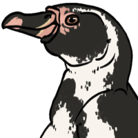 Thumbnail for ANI-1934: Humboldt Penguin (F)