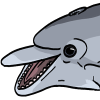 Thumbnail for ANI-1935: Bottlenose Dolphin (F)