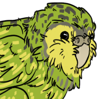 Thumbnail for ANI-1937: Kakapo (M)