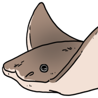 Thumbnail for ANI-1941: Cownose Ray (F)