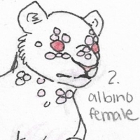 Thumbnail for ANI-1943: Albino Hybrid Barbary Lion x Titanoboa  (F)