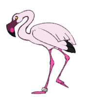 Thumbnail for ANI-2001: Flamingle