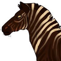 Thumbnail for ANI-2016: Quagga (M)