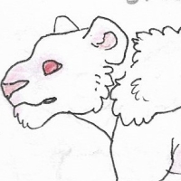 Thumbnail for ANI-2035: Albino Hybrid Bubo Osvaldoi x Barbary lion  (F)