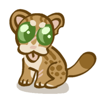 ANI-2068: Rusty Spotted Cat (F)